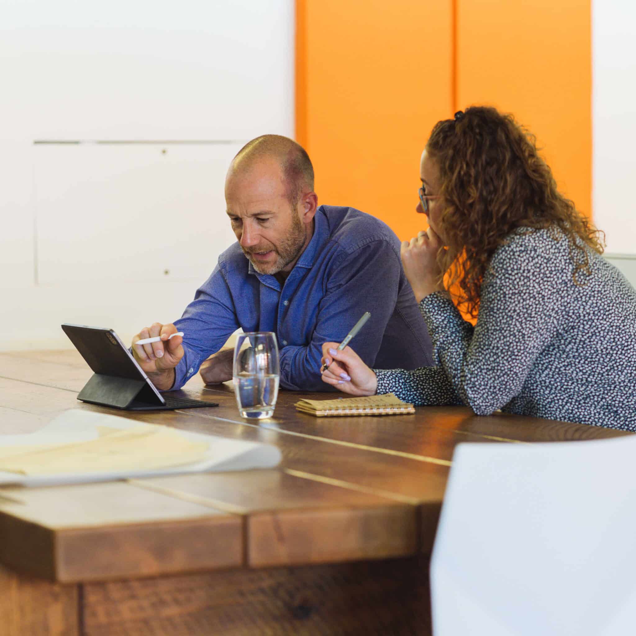 Audits & Expert Witness