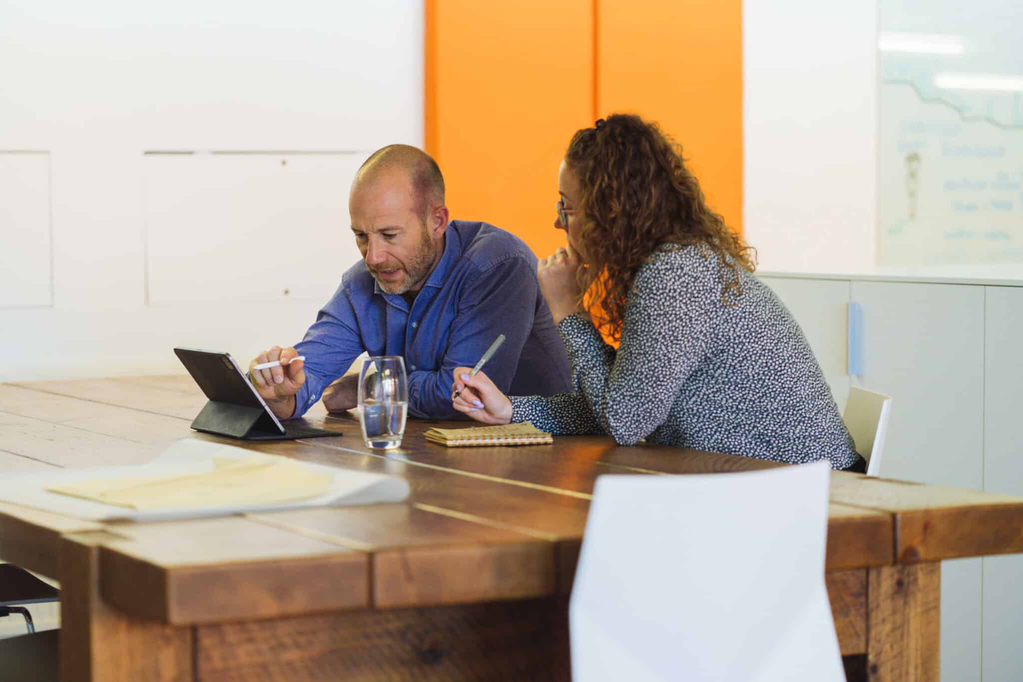 Audits and Expert Witness